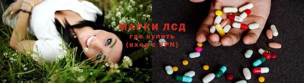 индика Алексин