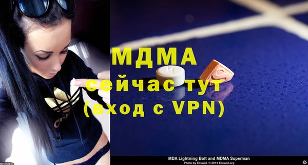 индика Алексин