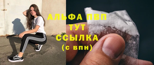 индика Алексин