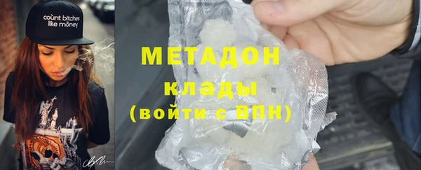 индика Алексин