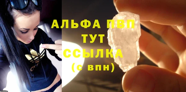 индика Алексин