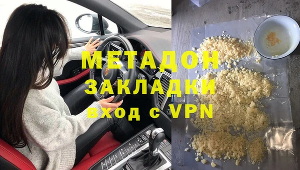 индика Алексин