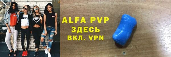 индика Алексин